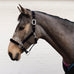 Luxury Padded Headcollar - Full