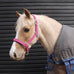 Luxury Padded Headcollar - Full